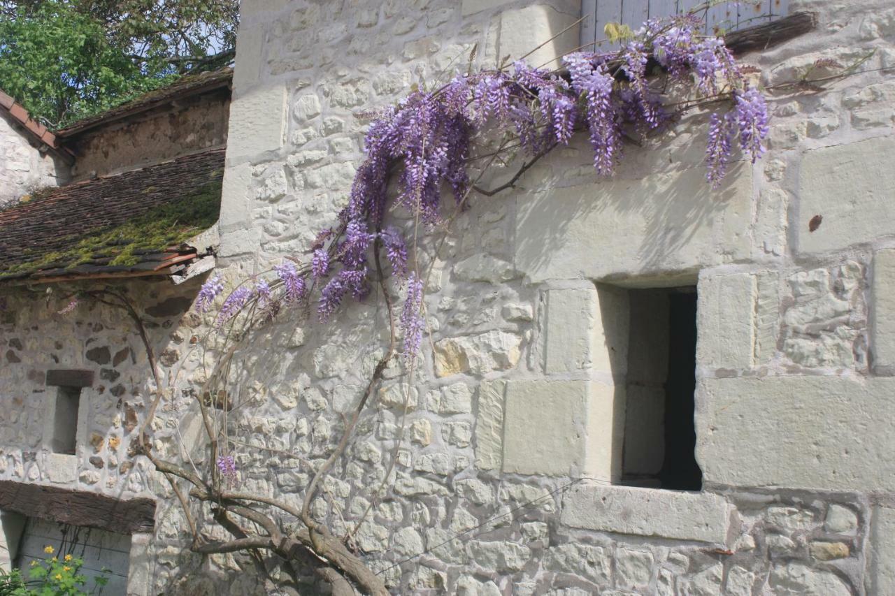 Bed and Breakfast Le Domaine De Bella Dange-Saint-Romain Exterior foto
